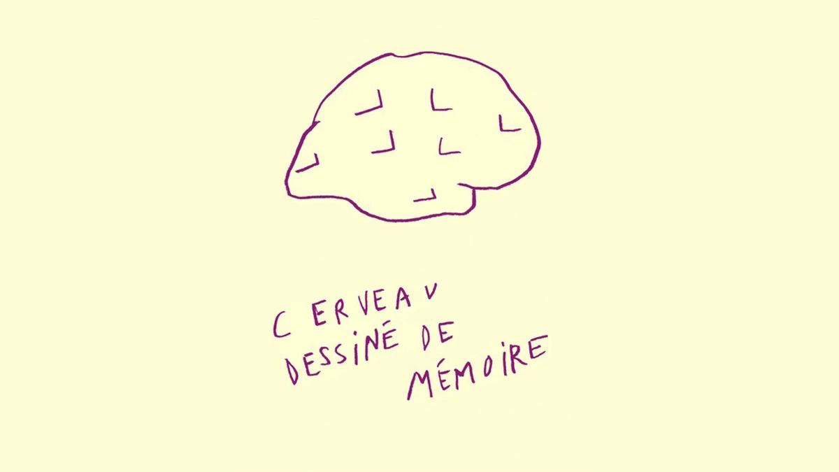 Cerveau dessin&eacute; de m&eacute;moire - Arnaud Labelle-Rojoux