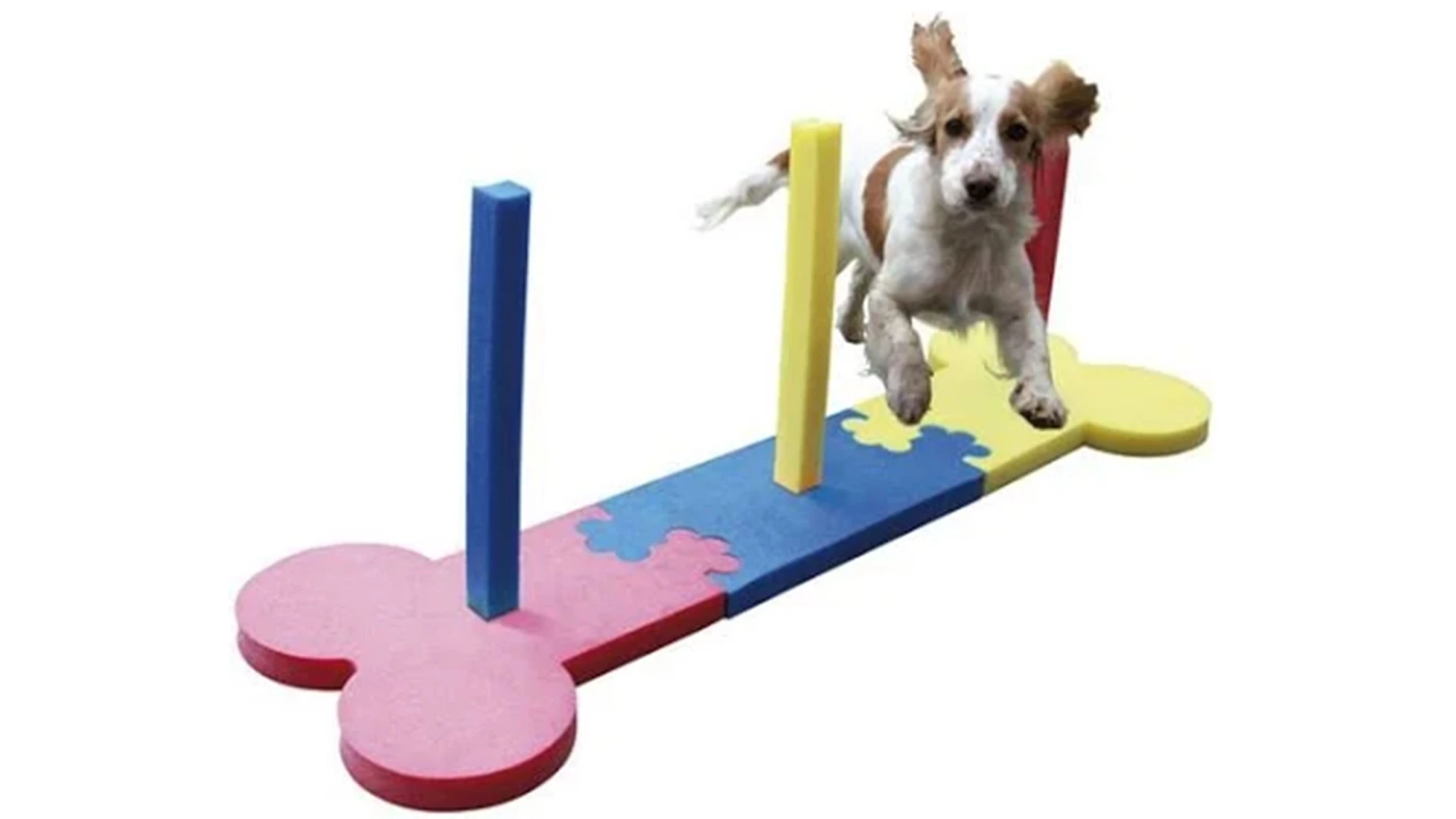 Agility