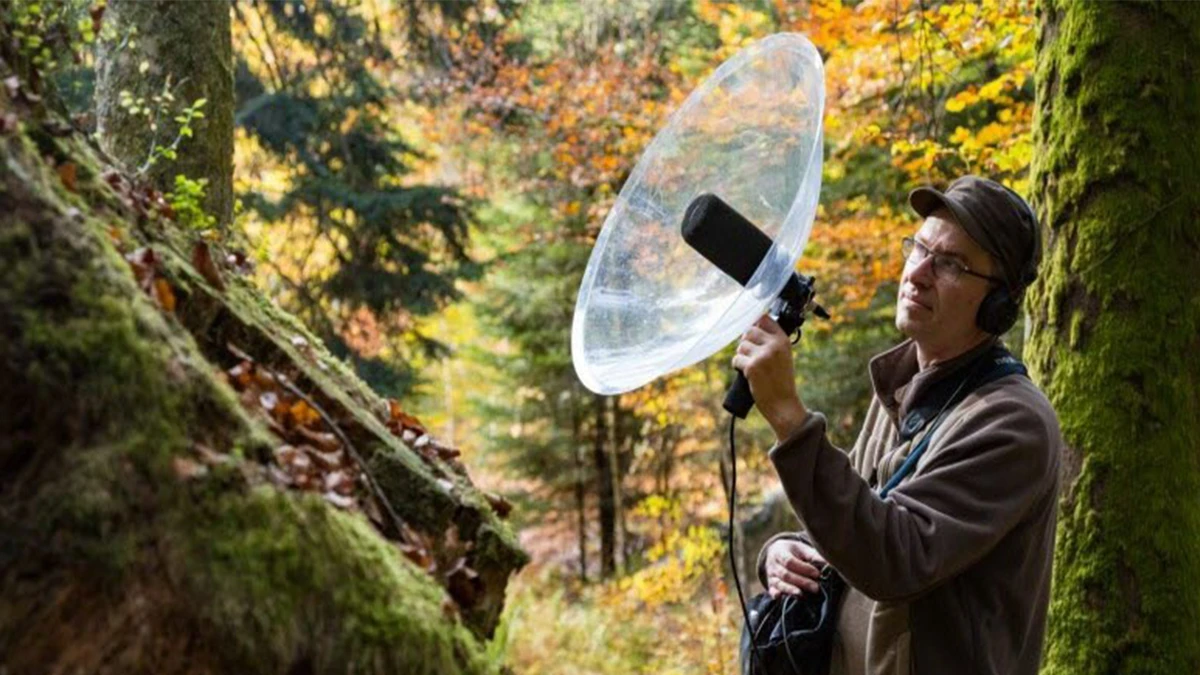 Source : Marc Namblard, audio-naturaliste, enregistre parfois ce qui est inaudible sans moyens techniques suppl&eacute;mentaires. https://www.vosgesmatin.fr/edition-de-remiremont/2019/05/18/marc-namblard-ecoute-enregistre-et-etonne-la-nature