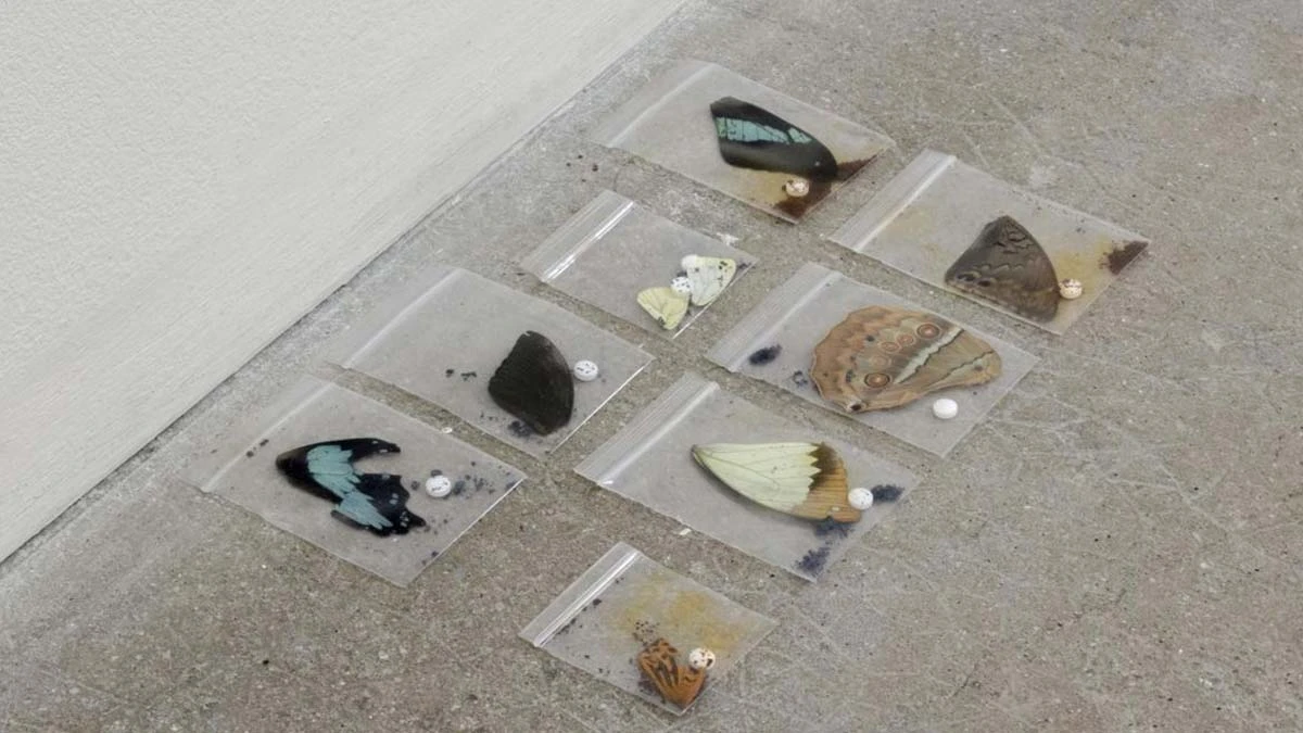 Maxime Bichon, &laquo;La fuite et l&rsquo;enveloppe&raquo;, Treignac Project, France - 2021