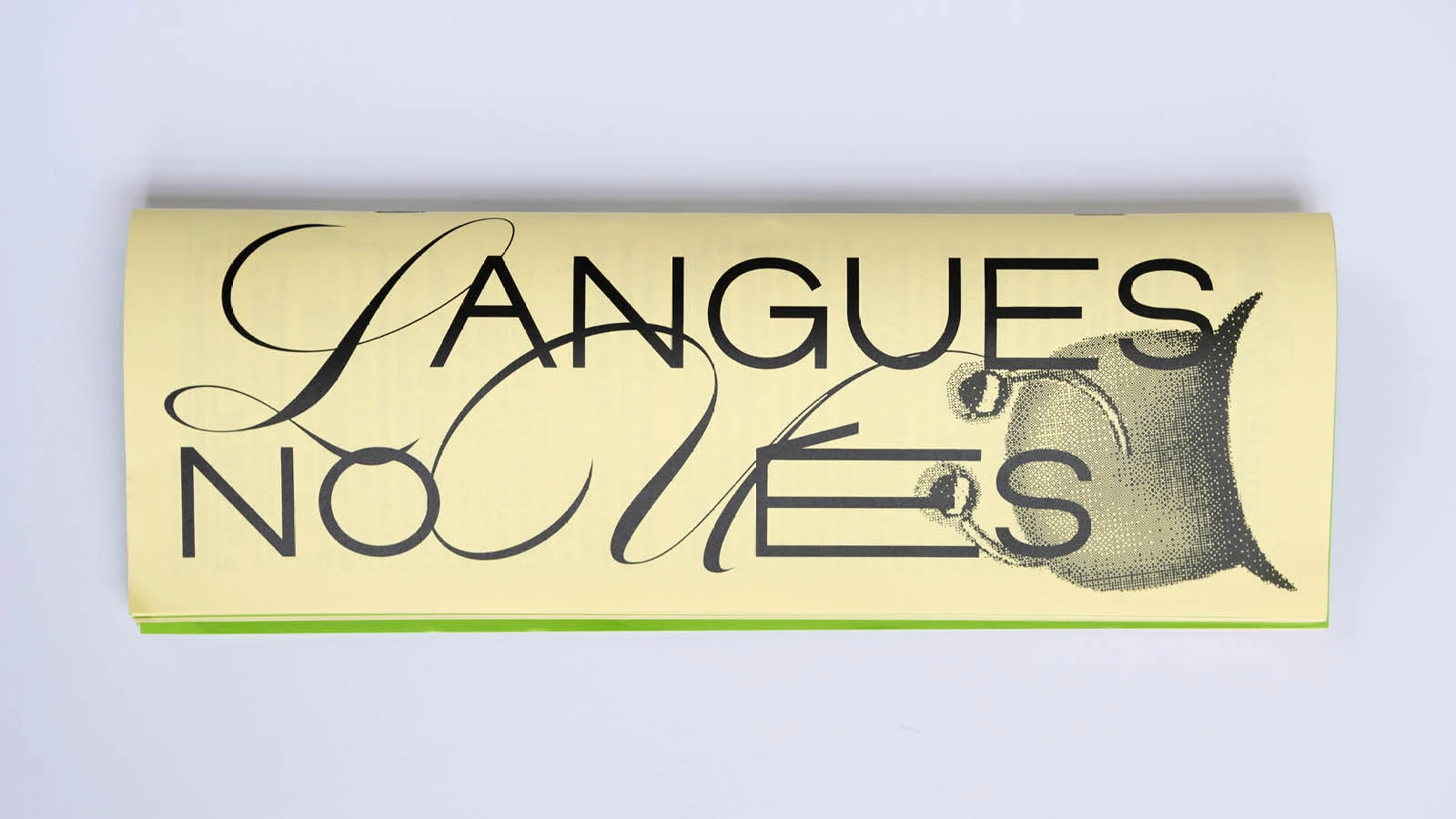 langues nou&eacute;es