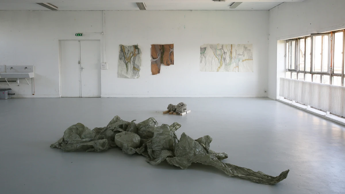 DNA Art 2017 - Agnus Clara