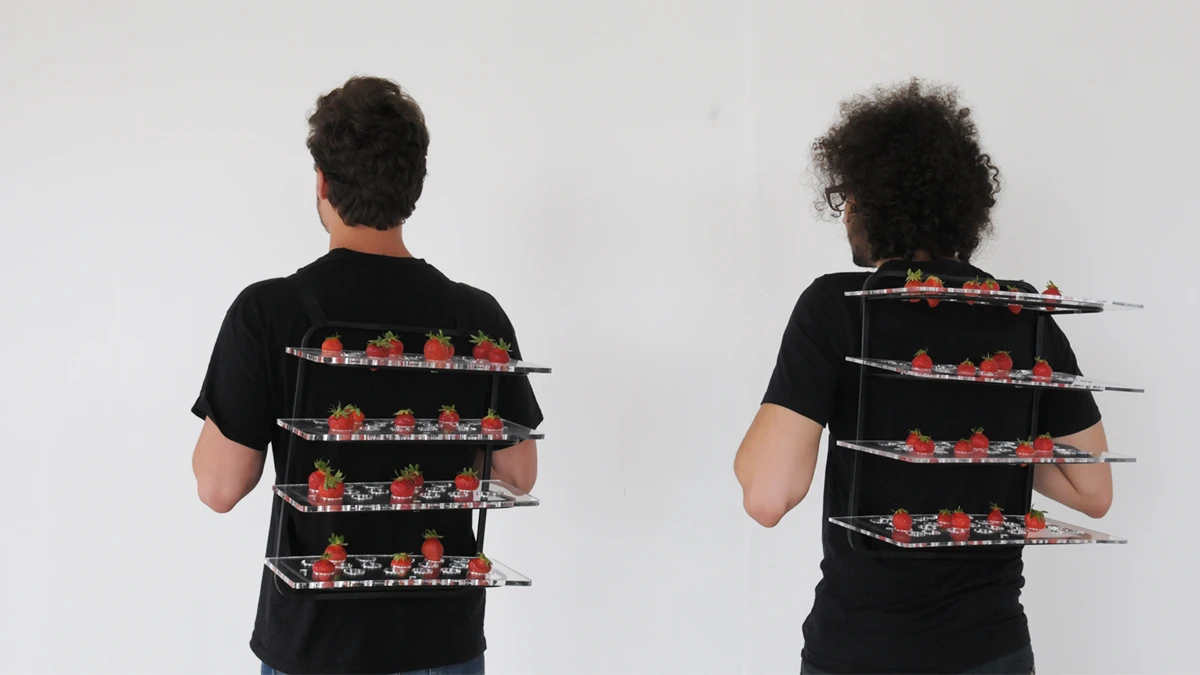 DNSEP Design 2015 Camille Arrighi