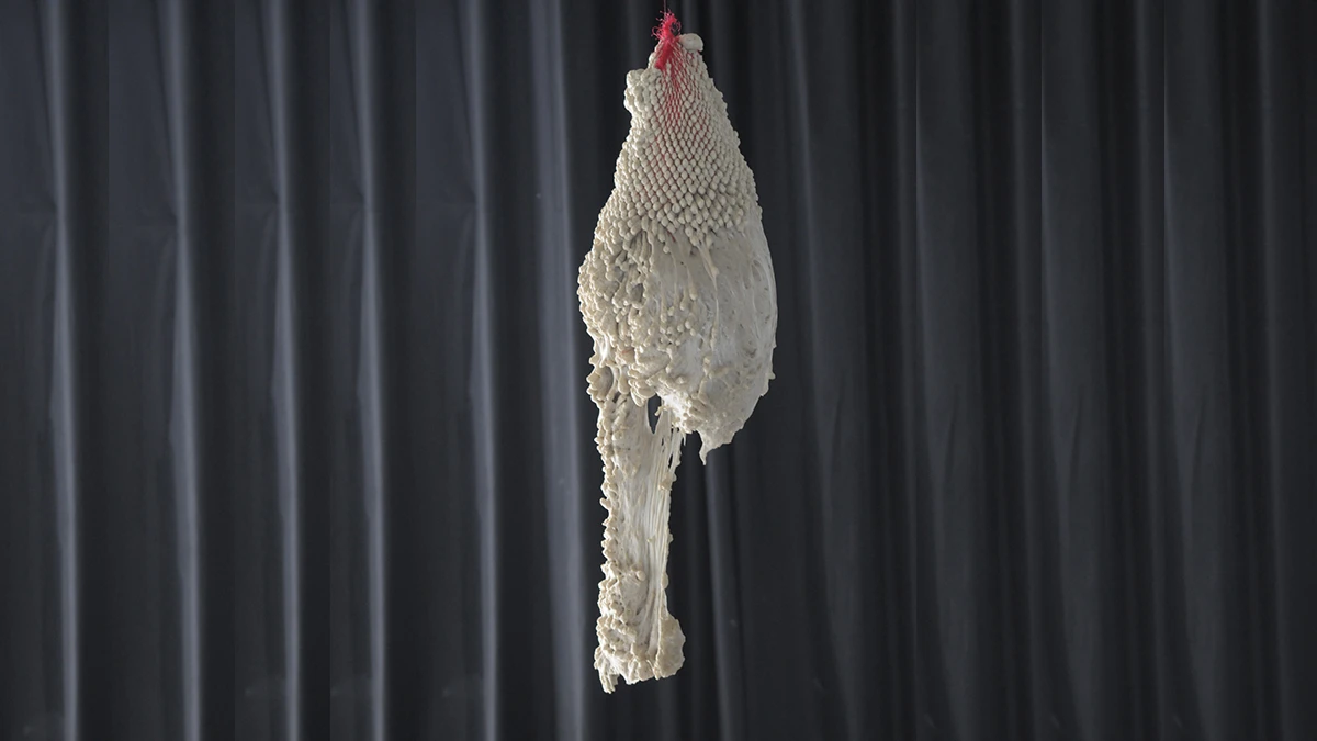DNA Art 2015 - Barois K&eacute;vin