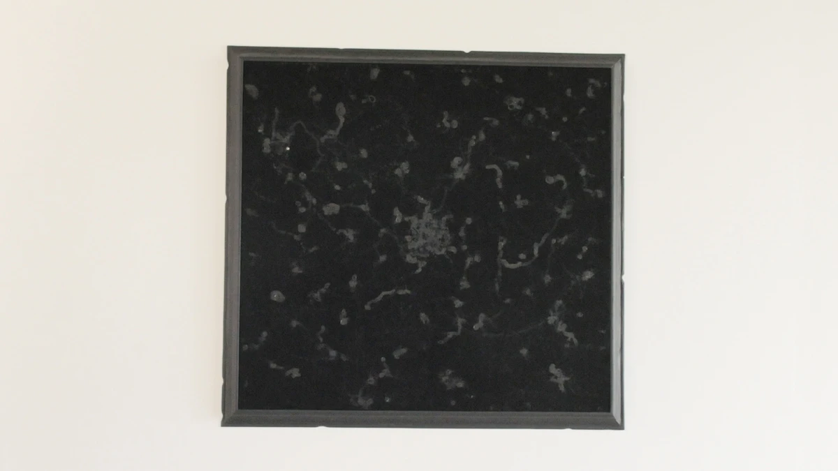 DNA Art 2015 - Barois K&eacute;vin