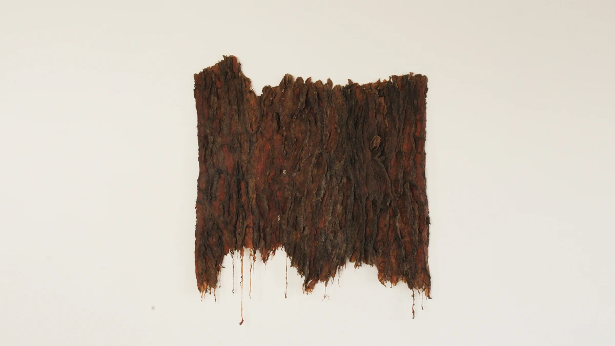 DNA Art 2015 - Barois K&eacute;vin