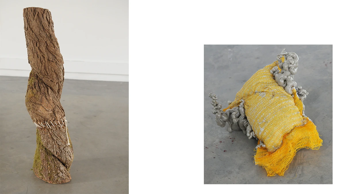 DNA Art 2015 - Barois K&eacute;vin
