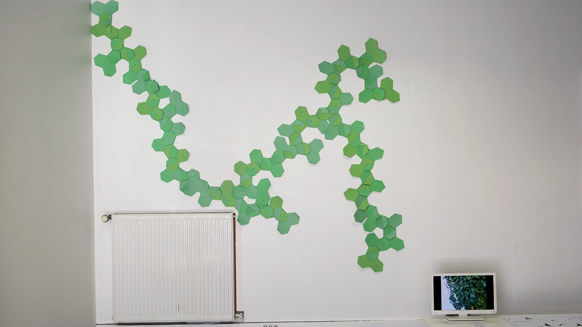 DNSEP Design 2015 Chlo&eacute; Bauchet