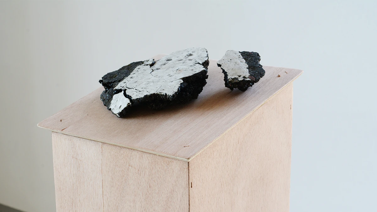 DNA Art 2015 - Baudrillart Jules
