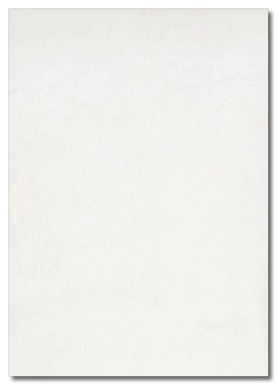 M&eacute;moire Julia Blain