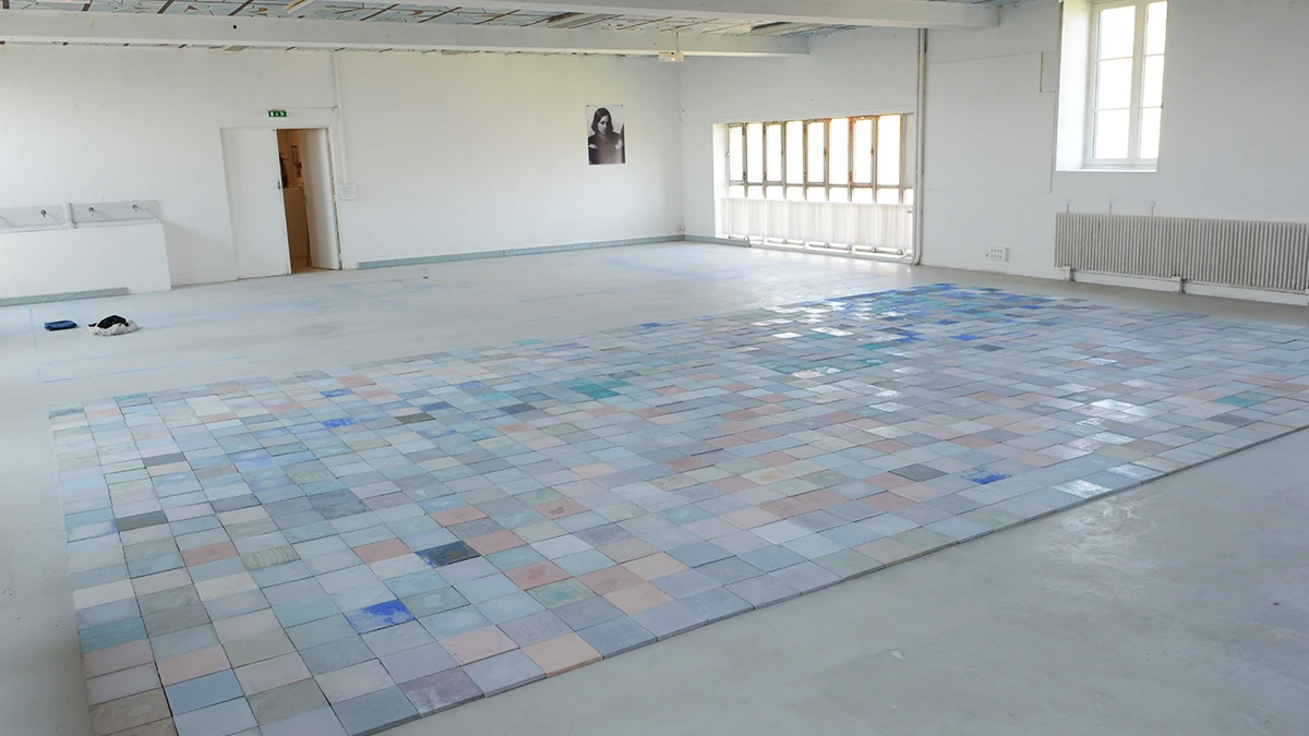 DNSEP Art 2015 Agathe Boulanger