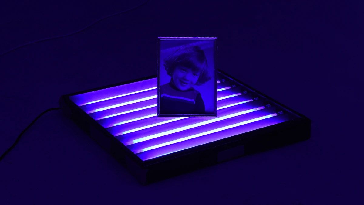 DNA Art 2019 - Hugo Brillet