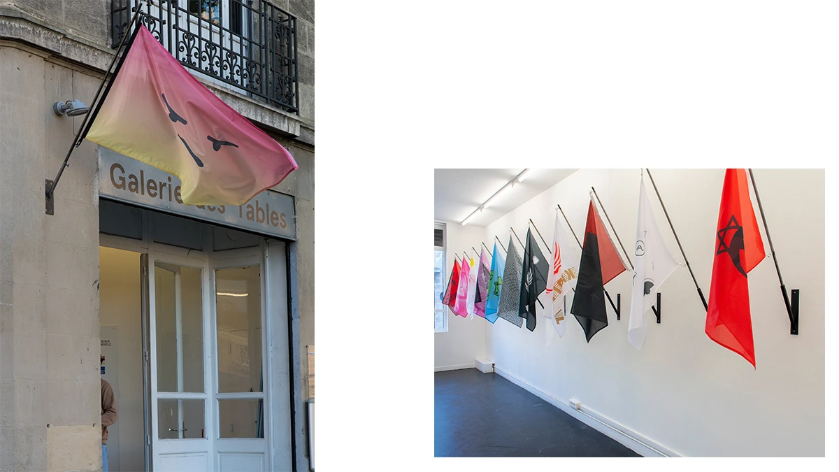 DNA option Art 2020 Jules Cartier - Flag Rant