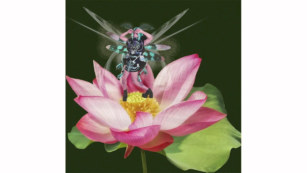 DNA option Art 2020 Max Codina