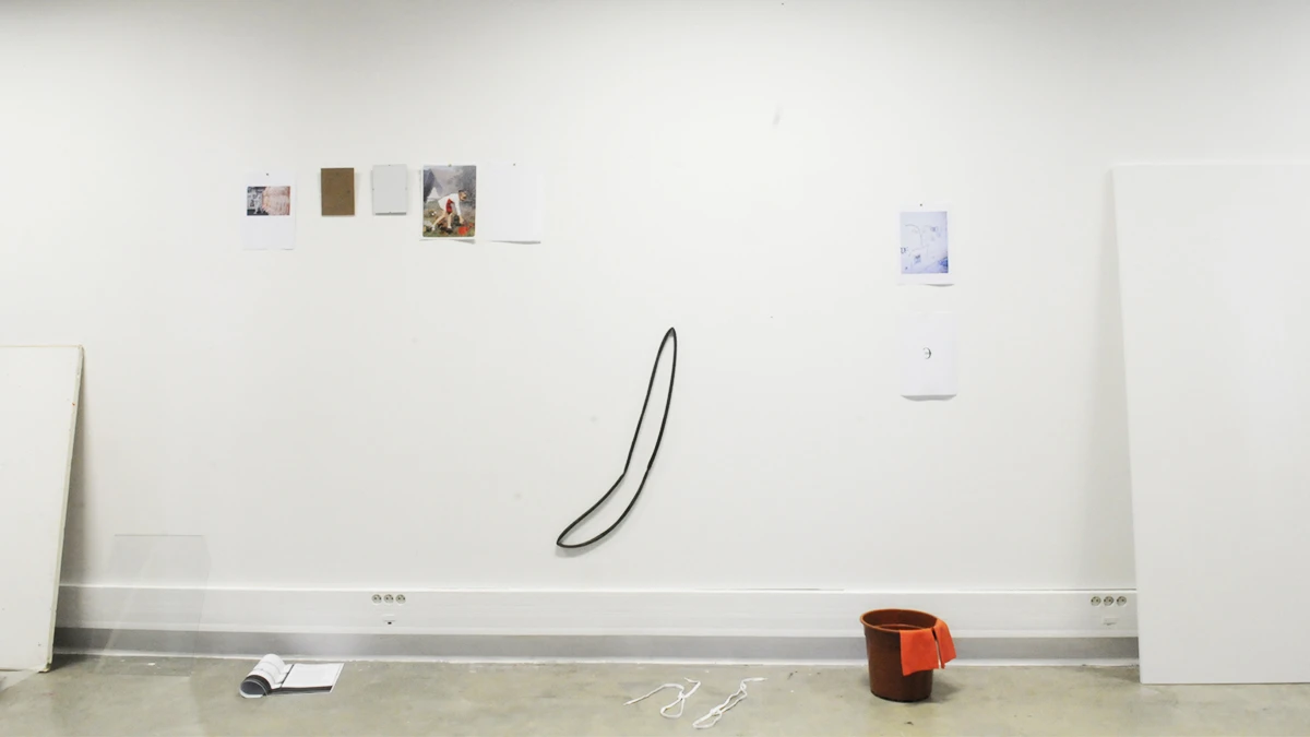 DNSEP Art 2015 L&eacute;opold Collin