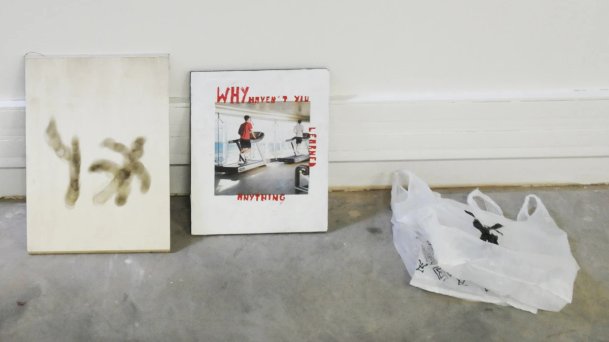 DNSEP Art 2015 L&eacute;opold Collin