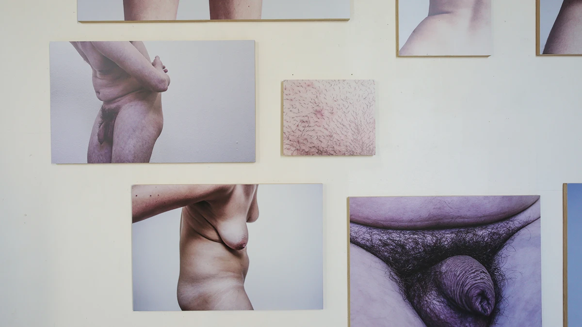 DNA Art 2016 - Coquillou Hermance