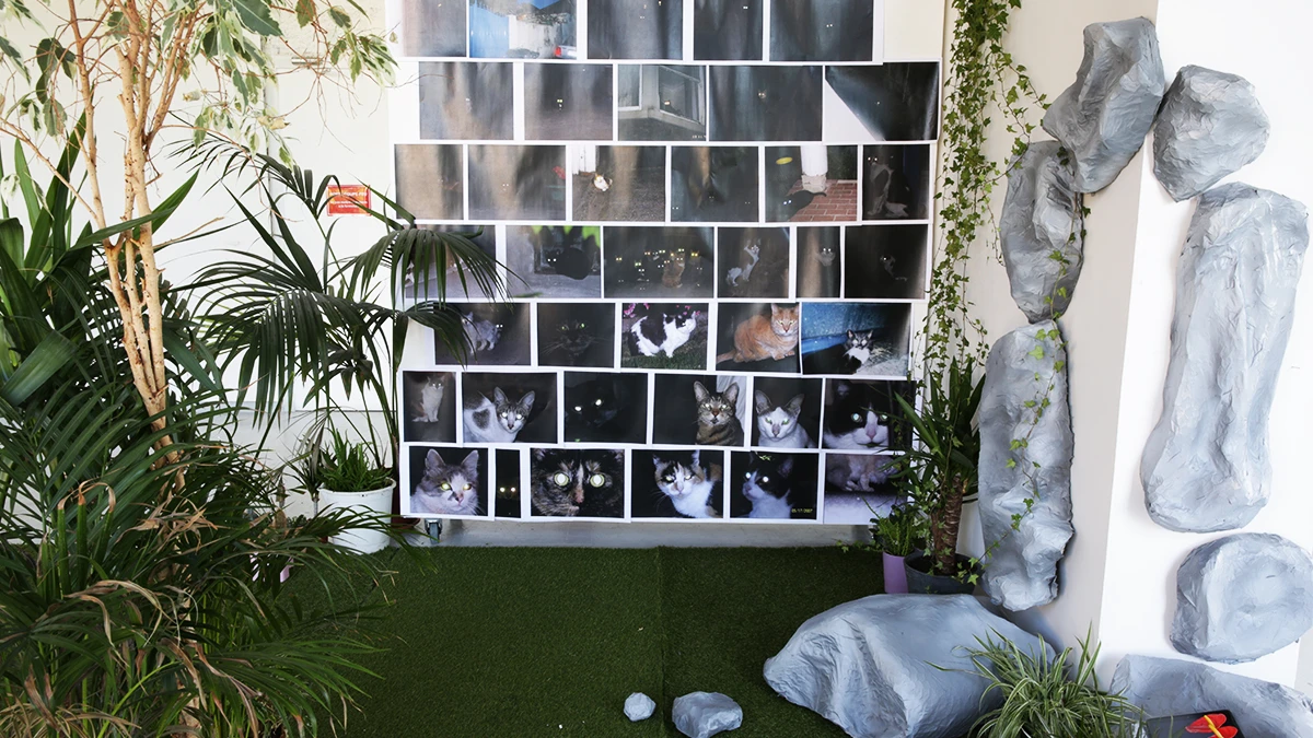 DNA Art 2016 - Da Costa H&eacute;l&egrave;ne