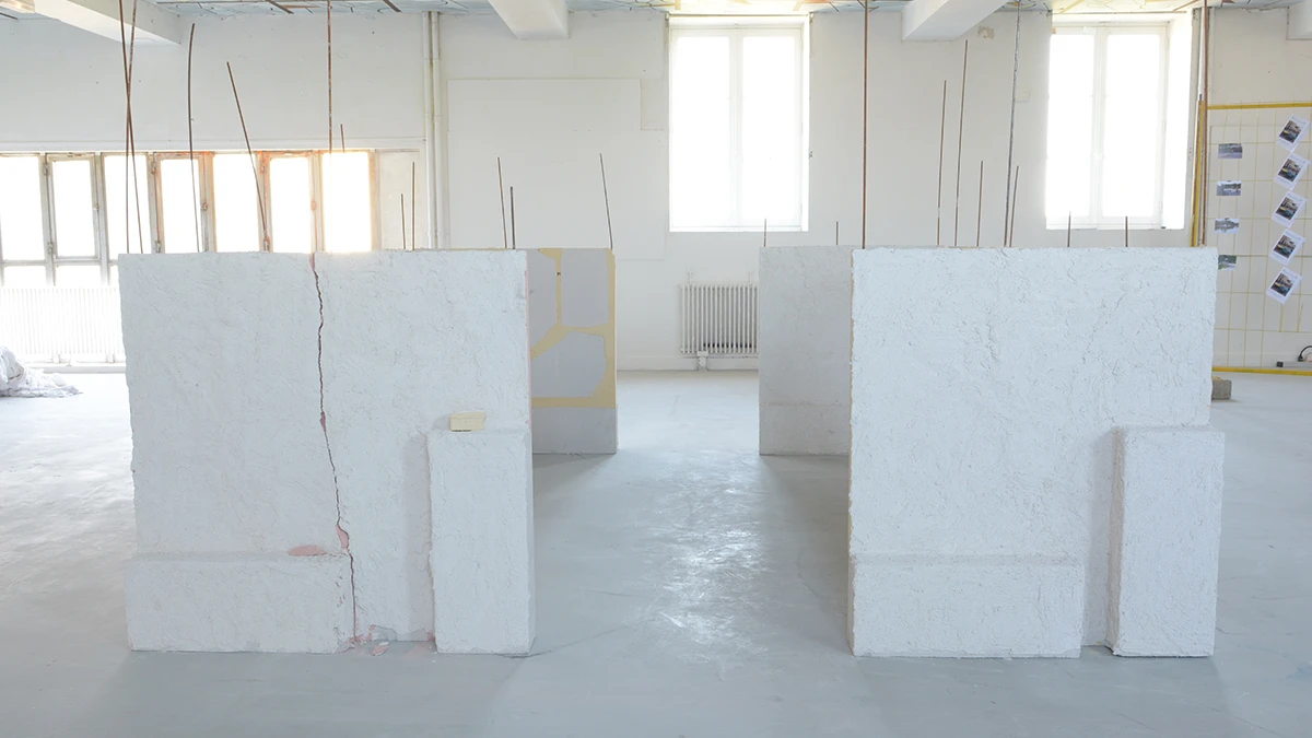 DNSEP Art 2015 Lola Deketelaere