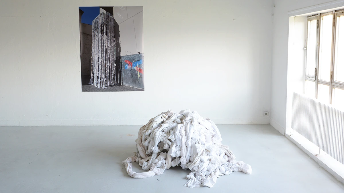 DNSEP Art 2015 Lola Deketelaere