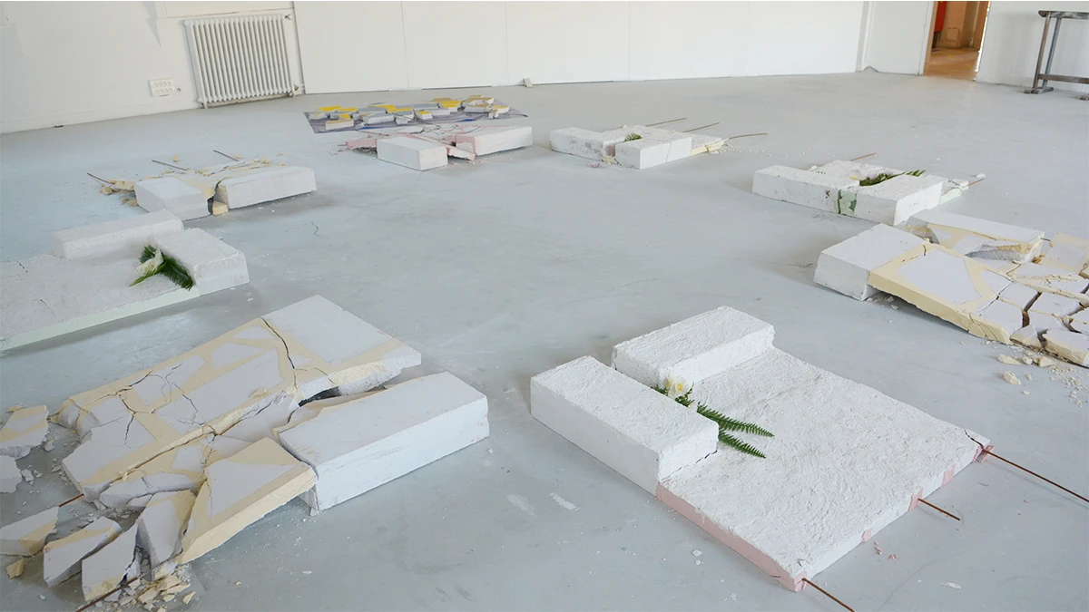 DNSEP Art 2015 Lola Deketelaere