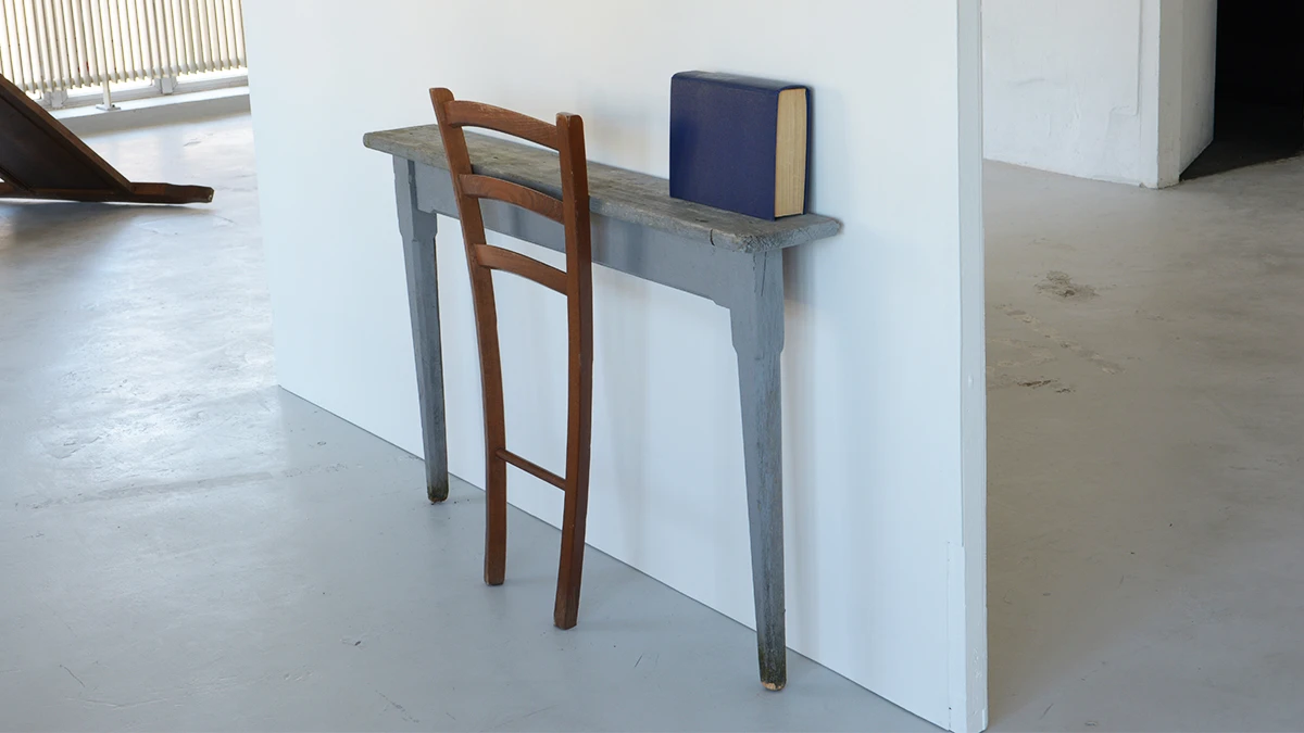 DNSEP Art 2015 Mathilde Delanne