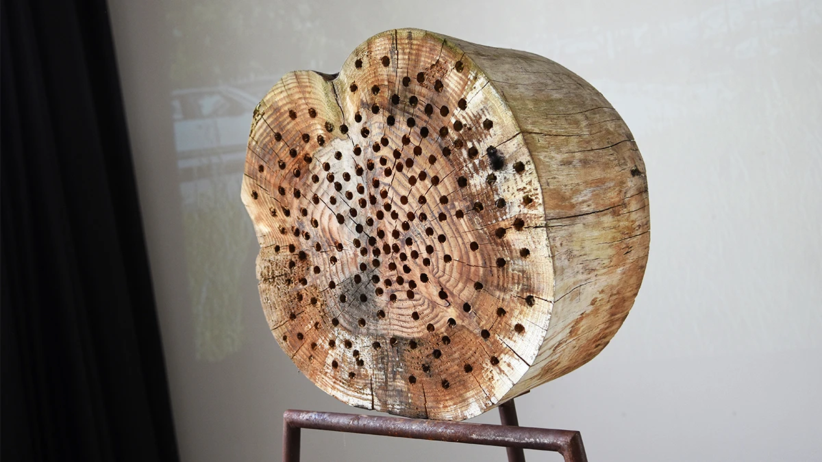 DNA Design 2019 - Jeanne Detot