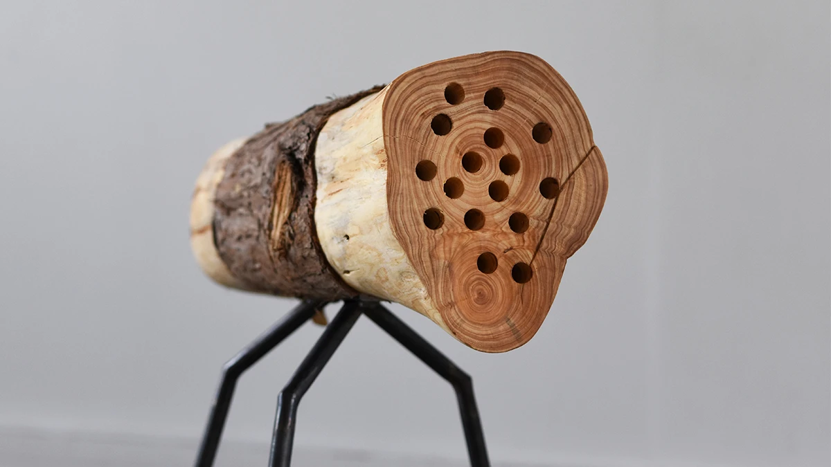 DNA Design 2019 - Jeanne Detot
