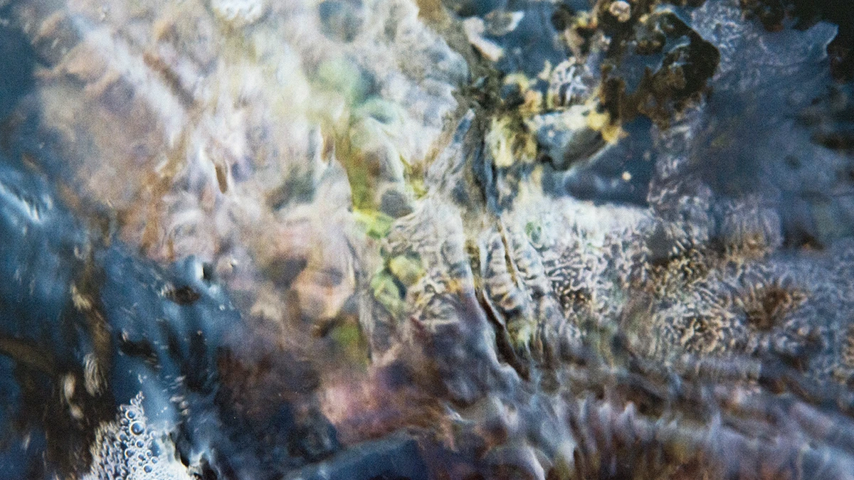 vDNA Art 2018 - Drouvin Chlo&eacute;