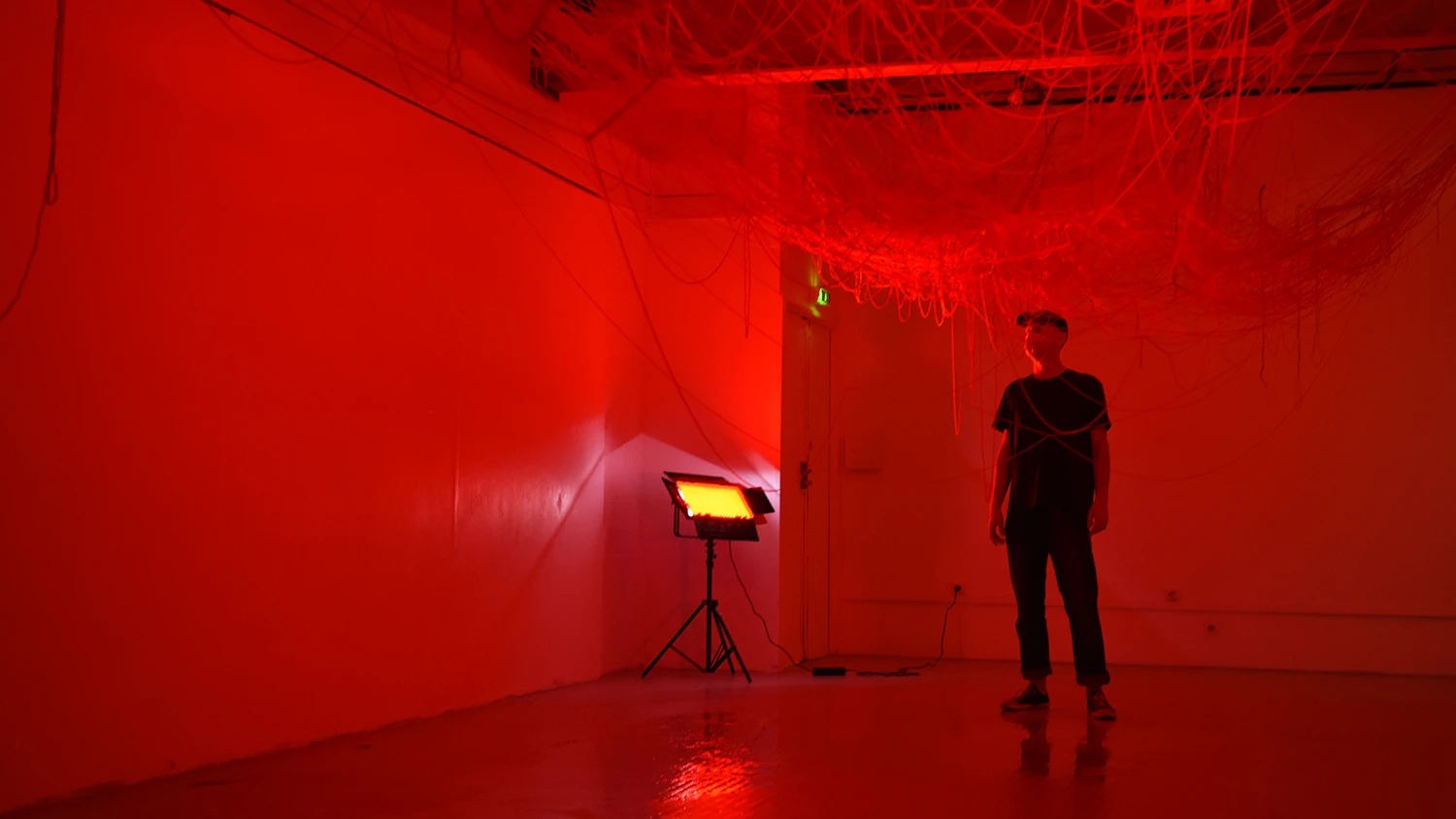 DNA ART 2021, Owen Dupont