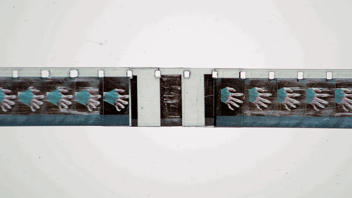 DNA option Art 2020 Adrien Edeline