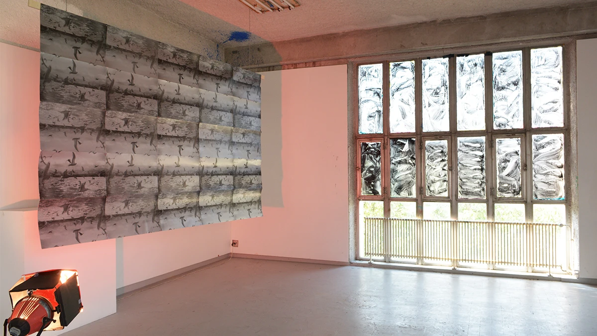 DNSEP Art 2015 Ana&iuml;s Garcia