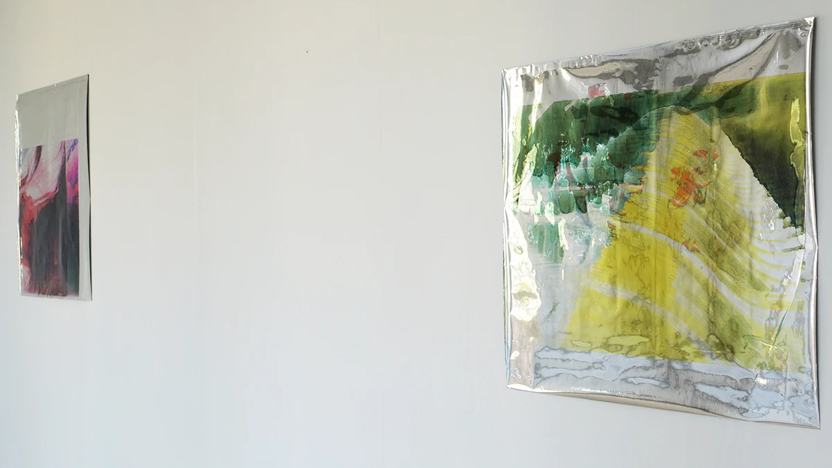 DNSEP Art 2015 Ana&iuml;s Garcia