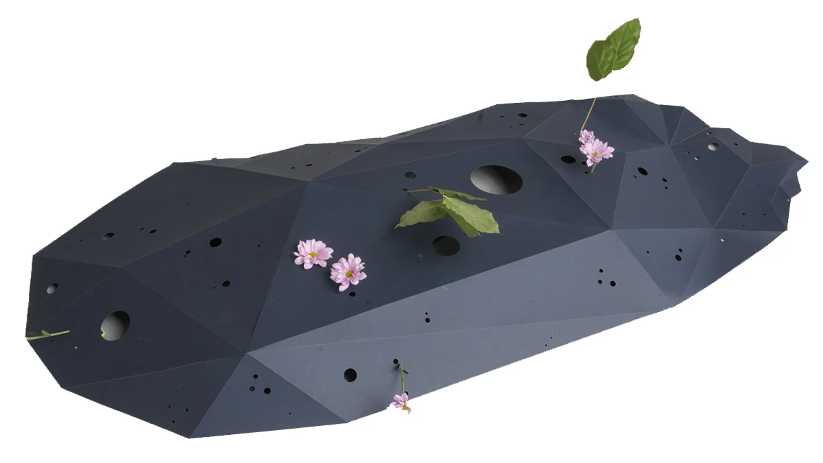 DNSEP Design 2015 Louise Garnier