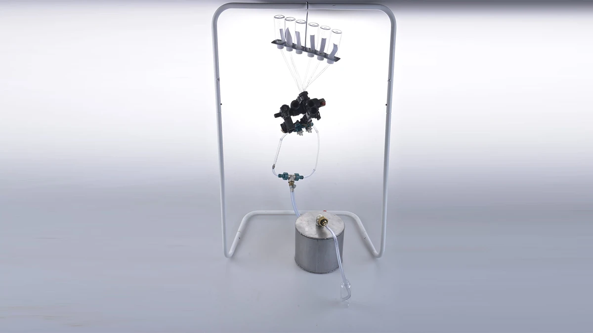 DNA option Art 2020 Camila Houberdon