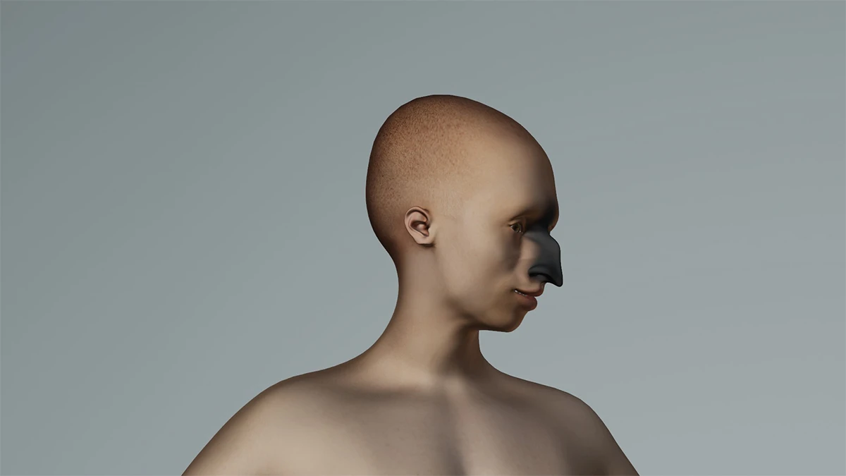 DNA option Art 2020 Camila Houberdon