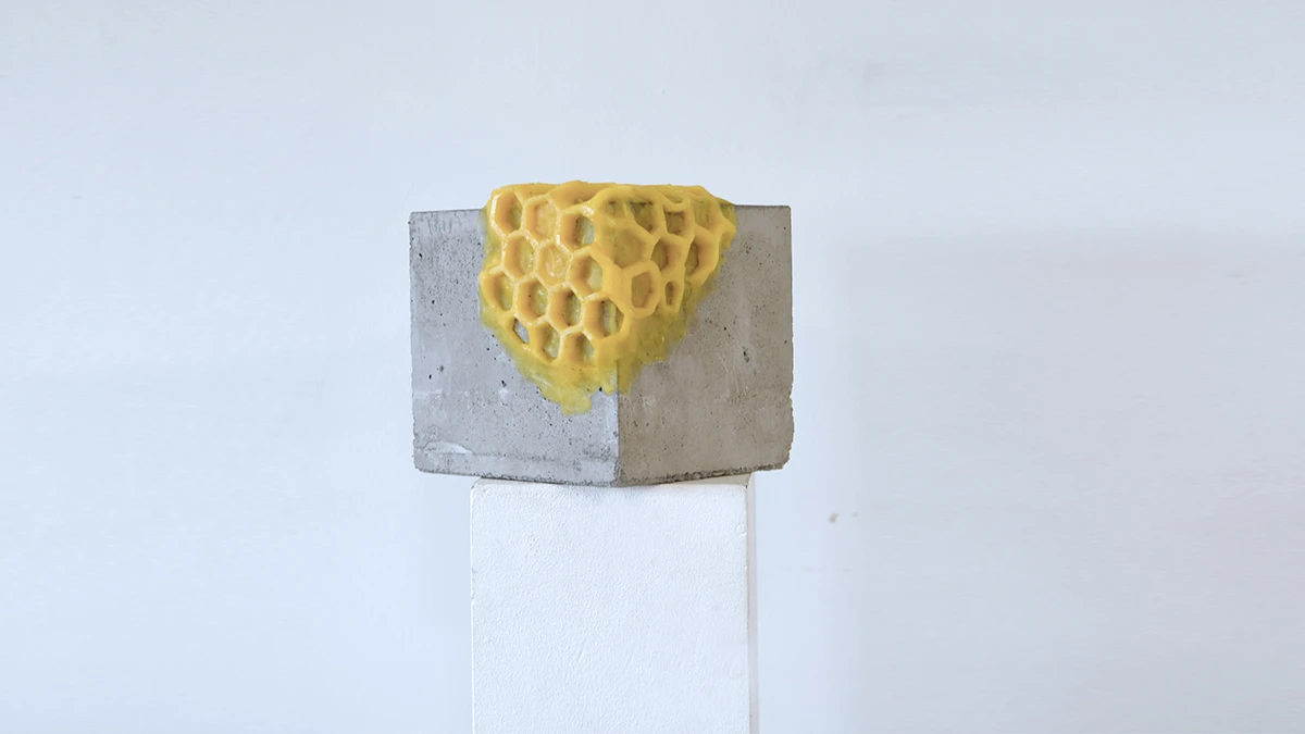 DNA option Art 2020 Camila Houberdon