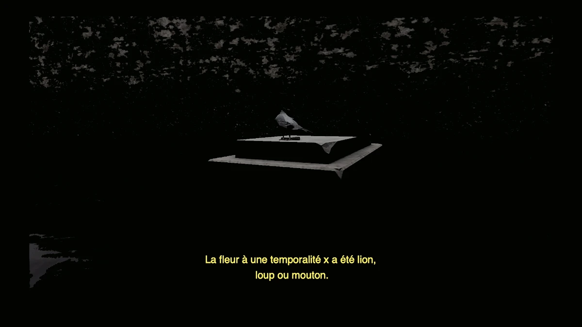DNA option Art 2020 Camila Houberdon