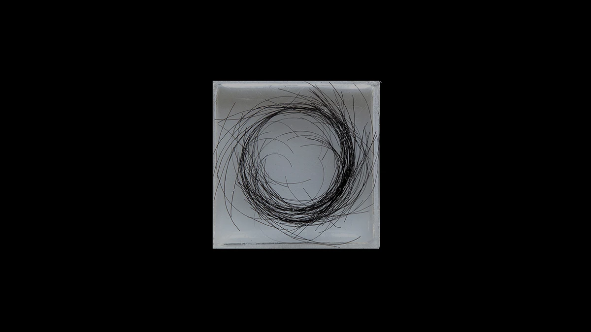 DNA option Art 2020 Emma Labarthe