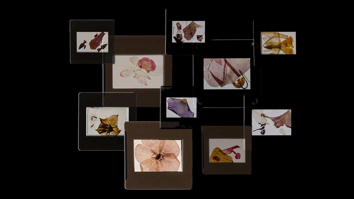 DNA option Art 2020 Emma Labarthe