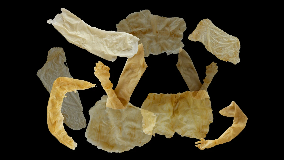 DNA option Art 2020 Emma Labarthe