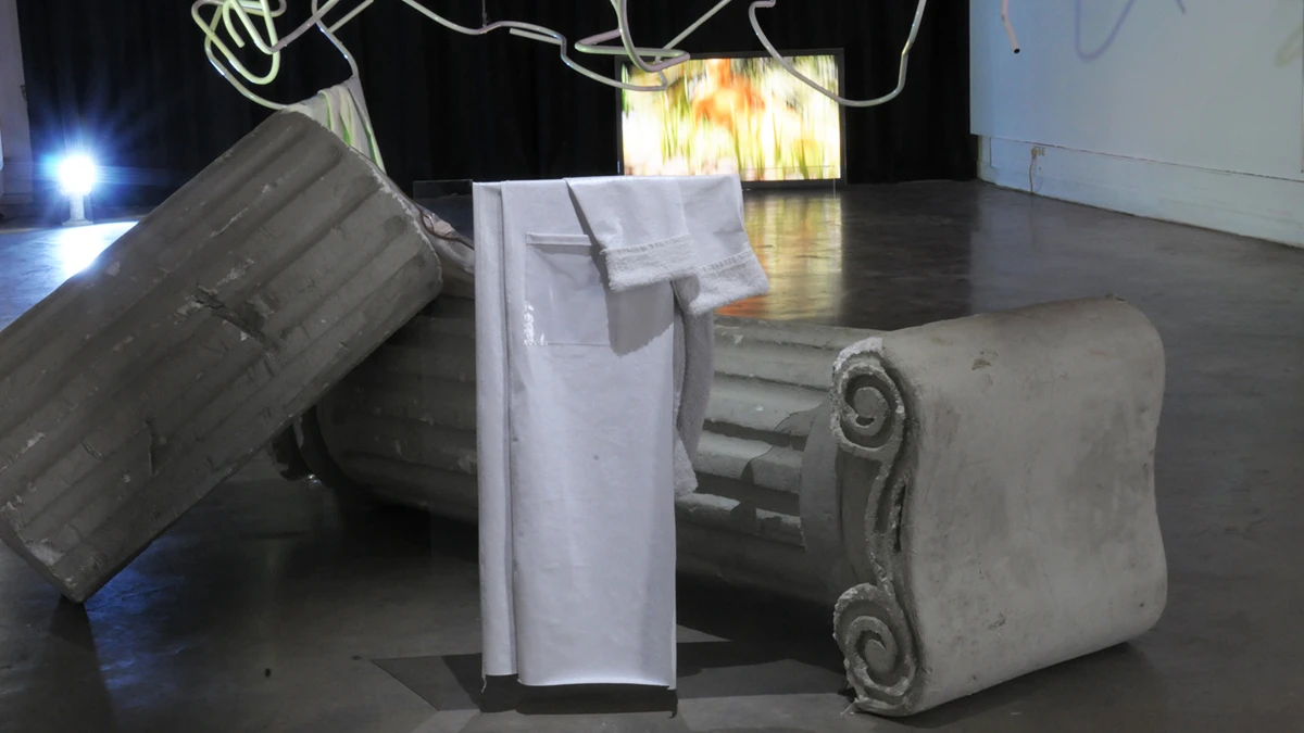 DNSEP Art 2015 Tiphaine Larrosa