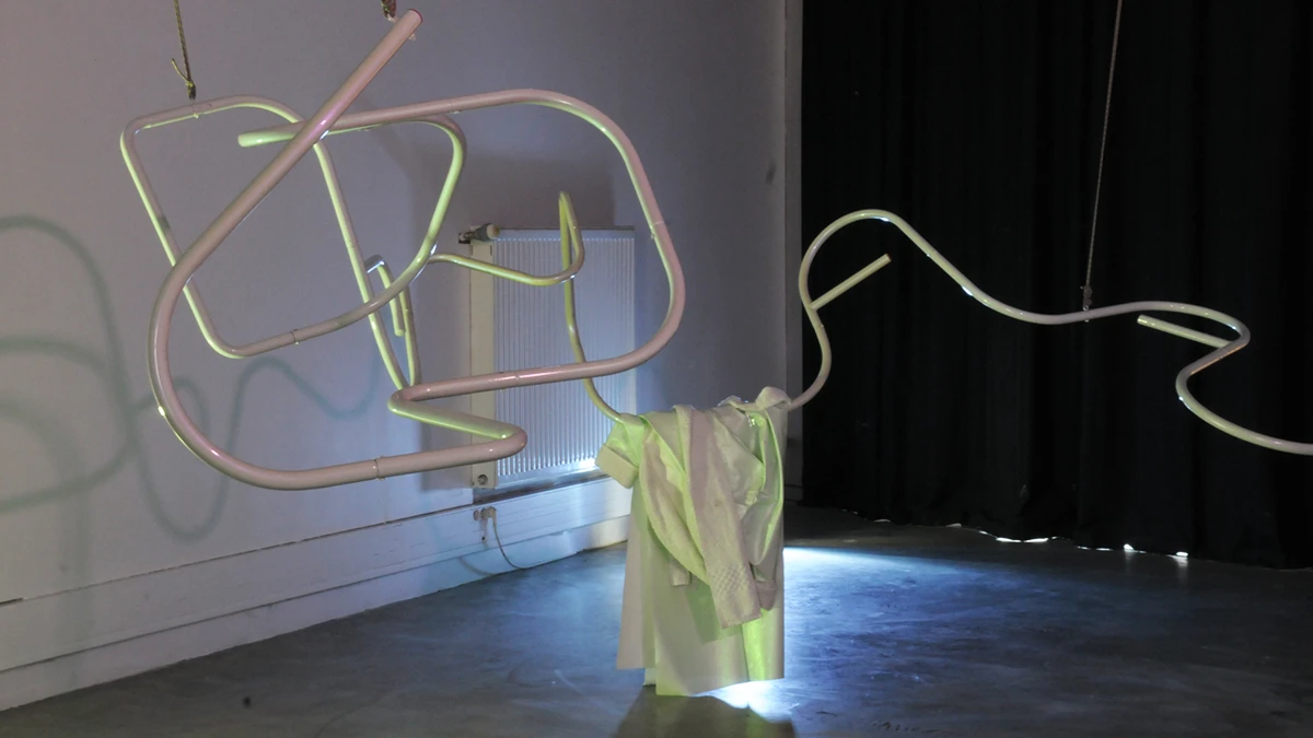 DNSEP Art 2015 Tiphaine Larrosa