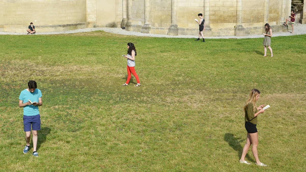 DNSEP Art 2015 Jean-Marie Le Besq