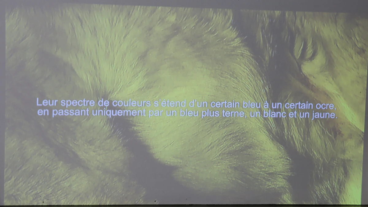 DNA Art 2017 - Marie Lebrun