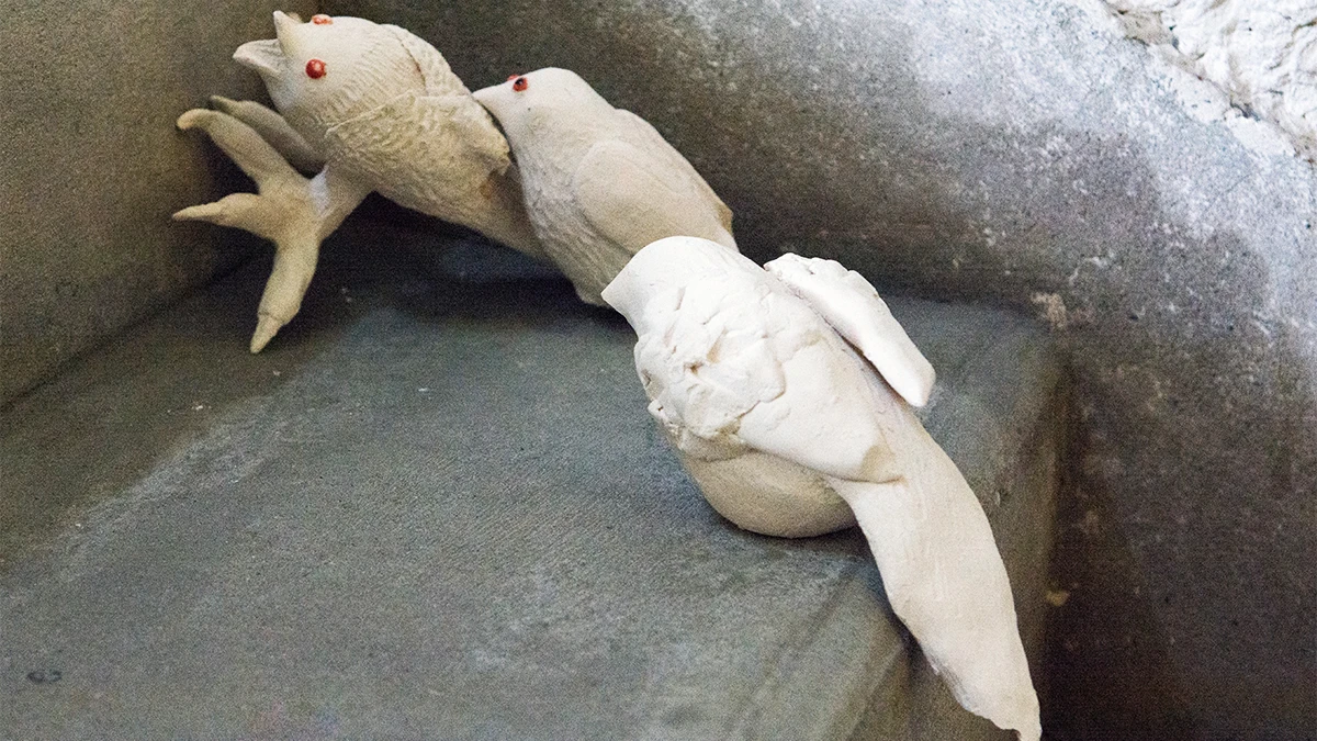 DNA Art 2018 - Limache Aine