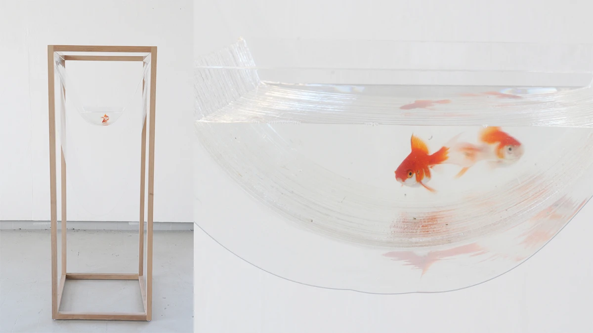 DNSEP Design 2015 Tao Liu