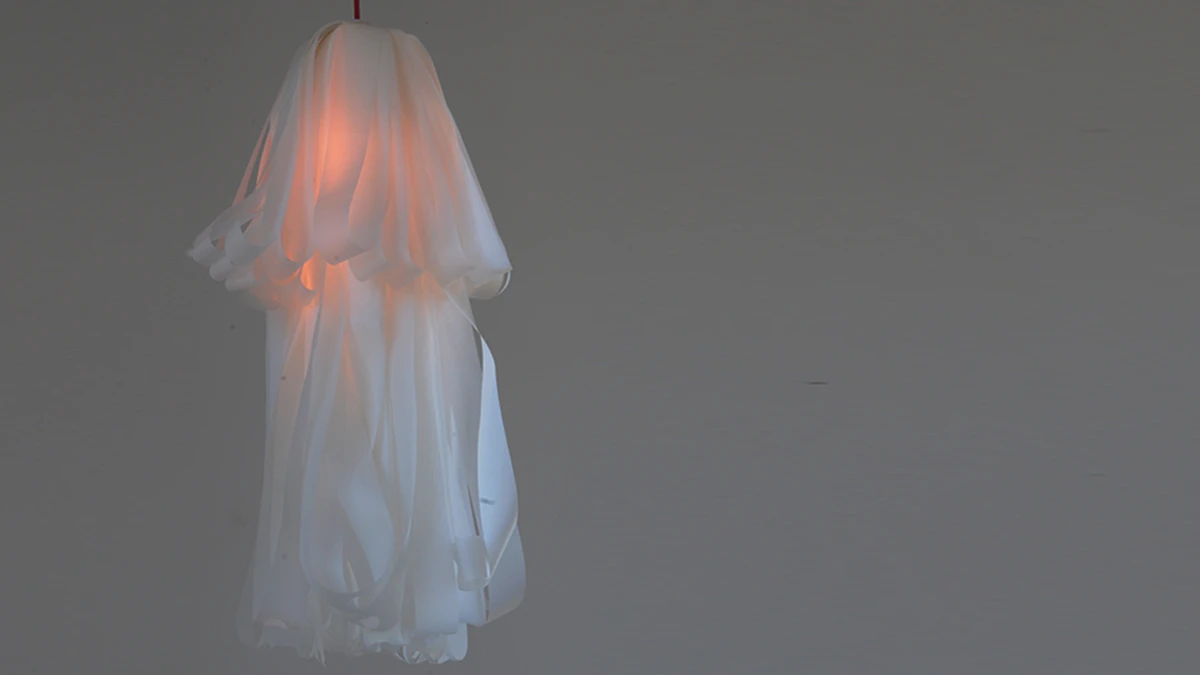 DNSEP Design 2015 Tao Liu