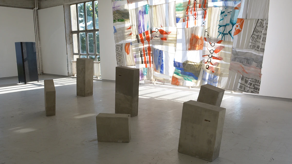 DNSEP Art 2015 Ann-Xuan Llanes