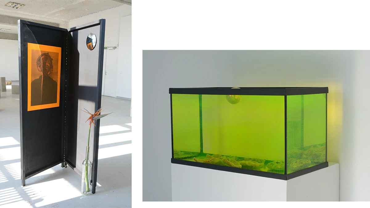 DNSEP Art 2015 Ann-Xuan Llanes